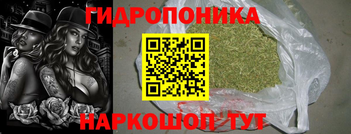 Ярославль  Канабис OG Kush  Марихуана конопля  Канабис конопля  Вход с VPN  Шишки марихуана Ganja 